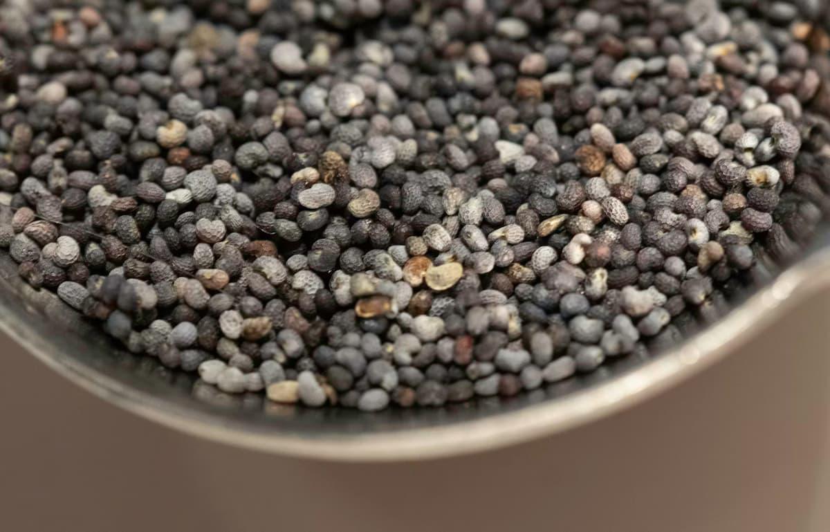 2 Công Thức Làm Mặt Nạ Hạt Chia Làm Đẹp Da Mặt Tự Nhiên Và Hiệu Quả